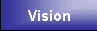 Vision