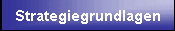 Strategiegrundlagen
